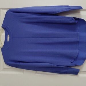 Max Studio Blue Long Sleeve Sweater